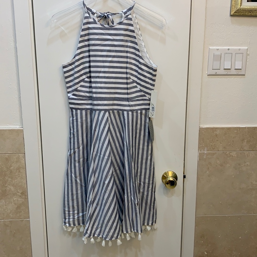 NWT Eliza J striped dress with tassels